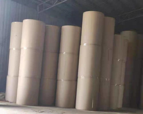 贺州望高湘桂造纸厂 建立绿色低碳循环是高质量发展的重要标志
